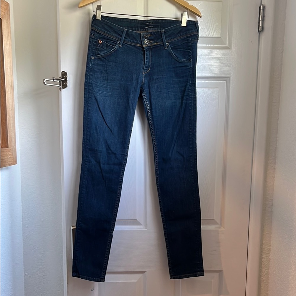 Hudson Jeans Blue Skinny Denim
